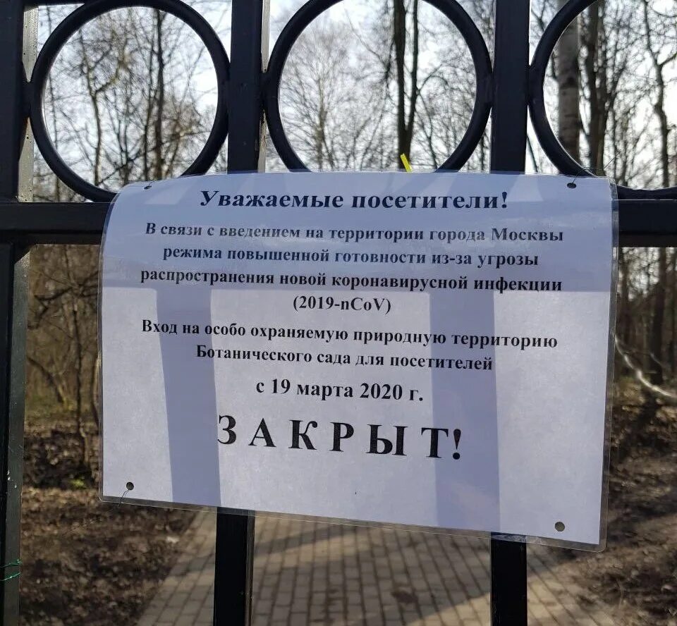 График работы ботанического. Ботанический сад москва режим. ботанический сад москва режим работы. самара ботанический сад время работы. самарский ботанический сад режим работы.