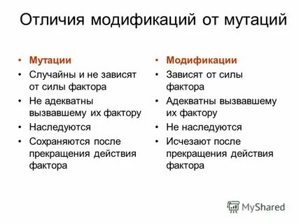 Модификация и мутация различия
