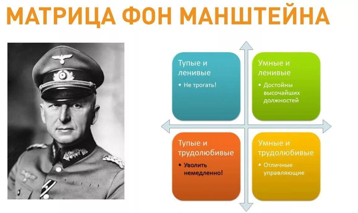 4 типа офицеров. Эрих фон манштейн 4 типа офицеров. манштейн 4 типа офицеров. матрица манштейна 4 офицера. есть 4 типа офицеров манштейн.