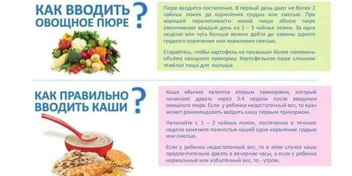 Когда можно давать гречку ребенку