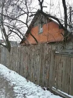 Казань снт любитель