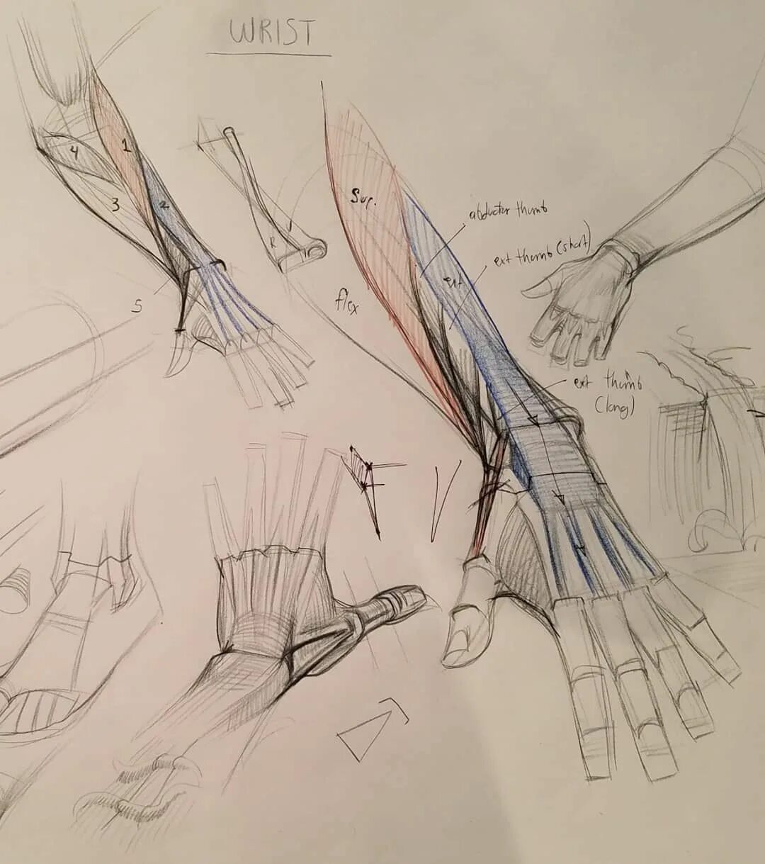Hand form
