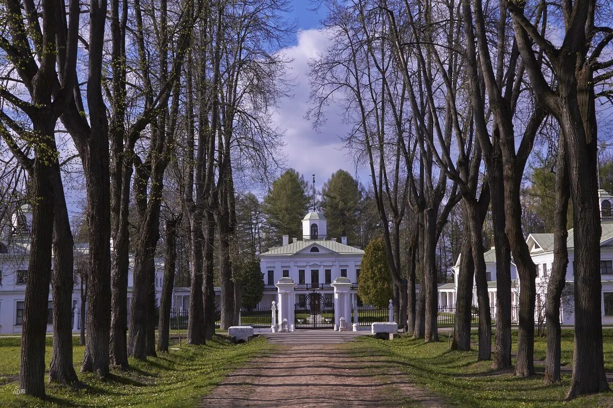 Музей середниково. Усадьба Середниково парк. Зеленоград усадьба Середниково. Усадьба Середниково Лиственничная аллея. Парк Середниково заповедник.