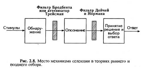 Модель внимания бродбента