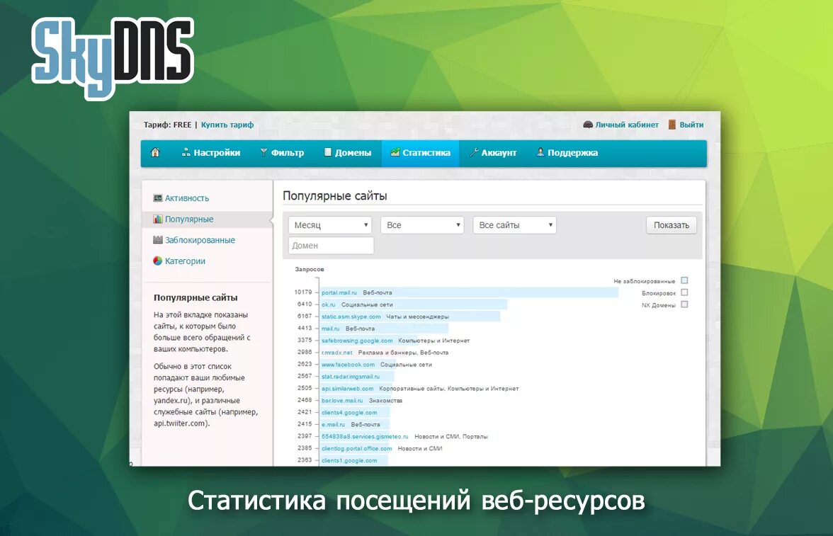 SKYDNS. SKYDNS лого. SKYDNS детальная статистика. Скай днс