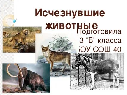Проект исчезнувшие животные
