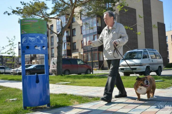 Дог бокс. Бокс для собачников. Дог бокс Новосибирск. Дог боксы Америка.