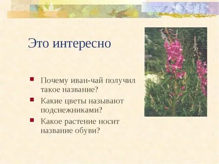 Причины трав