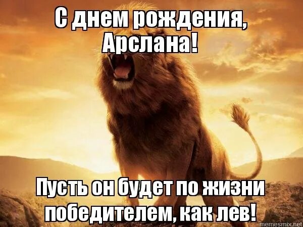 Весел как никогда. Поздравить с днем рождения Арслана. С днем рождения Лев. Поздравление с днём рождения Аслана. Поздравление льву.