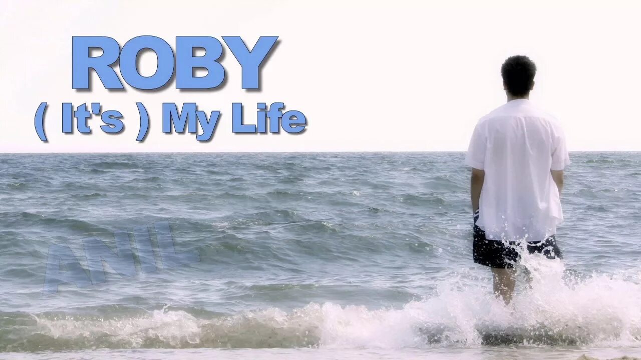 It's my Life картинки. Roberto Lee its my Life. (It's) my Life Extended Mix. Its my Life песня.