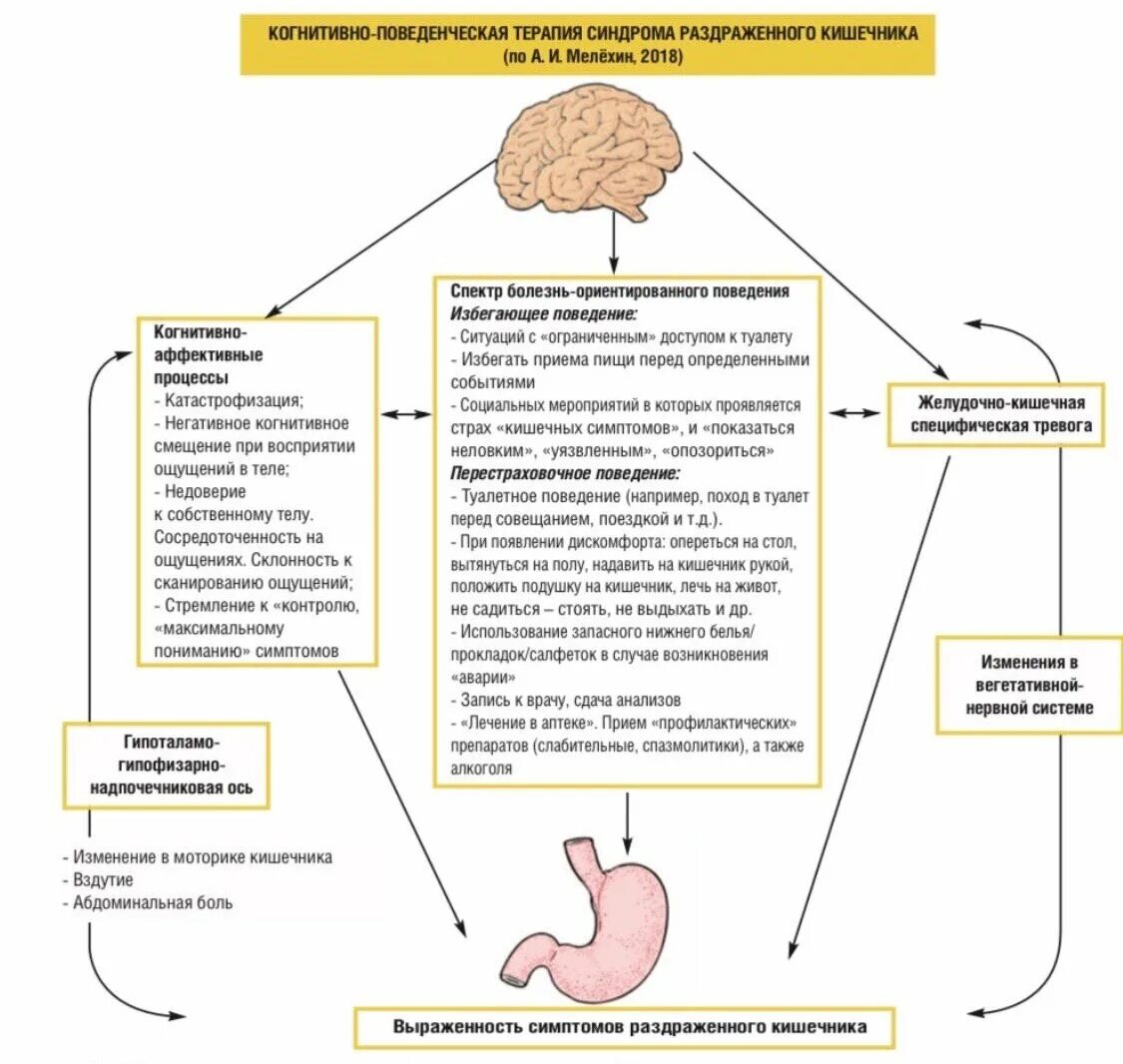Синдром раздраженного кишечника психотерапия. Алгоритм диагностики синдрома раздраженного кишечника. Схема лечения при синдроме раздраженного кишечника. Патогенез синдрома раздраженного кишечника схема. Когнитивно поведенческая терапия тревоги