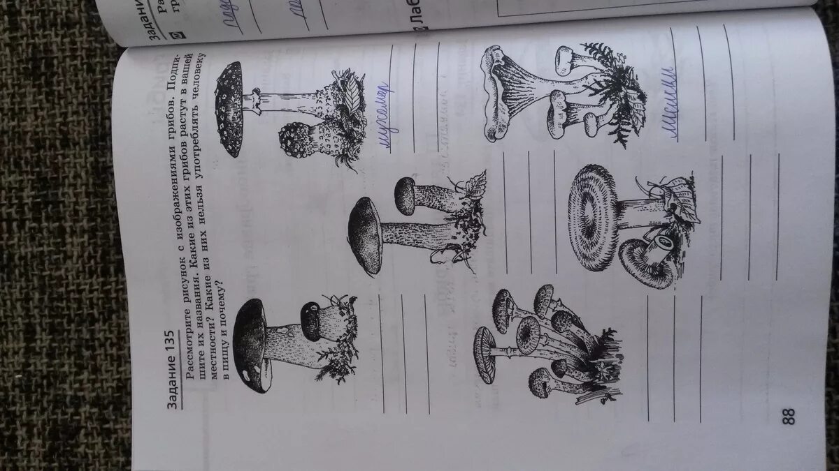 Рассмотри схемы подпиши их названия. Рассмотри рисунок.. Рассмотрите рисунок с изображением. Рассмотрите иллюстрации на с 34-35 учебника. Под рисунком Подпиши названия произведений.