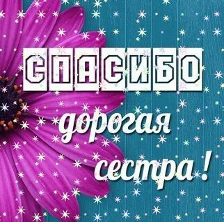 Здравствуй дорогая сестра