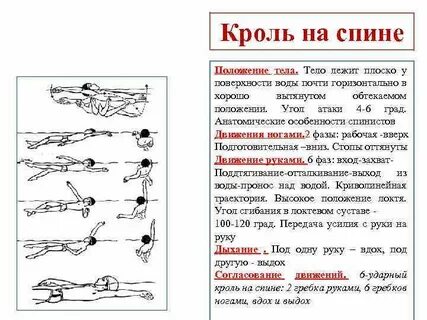 Способ плавания кроль на спине