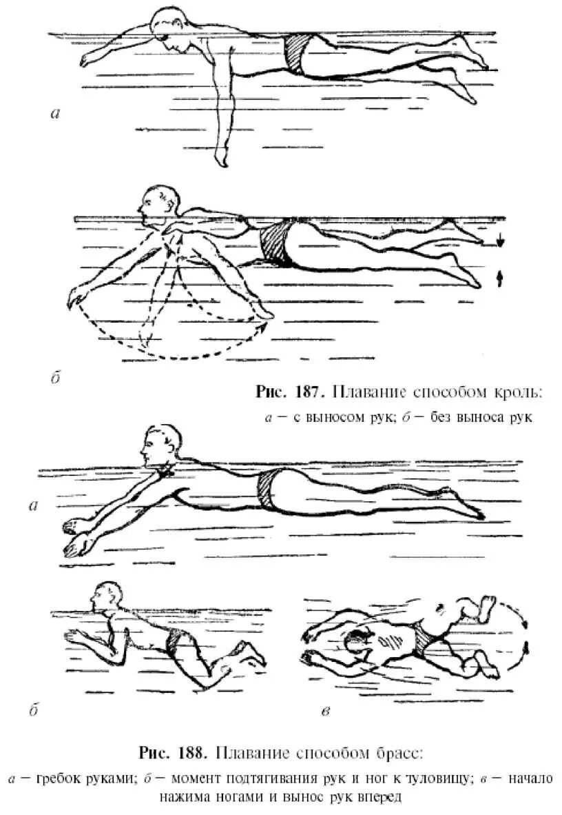 Плавание брассом и кролем. Кроль брасс Баттерфляй. Виды плавания Кроль брасс. Различные способы плавания. Брас и Кроль плавание.