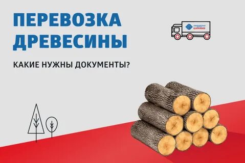 Перевозка древесины документы