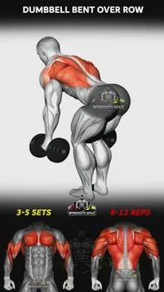 Bend over rows