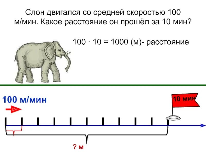 Очень быстро с определенной скоростью. Слон двигался со средней. слон передвигается со средней скоростью. слон двигался со скоростью 100 ммин какое расстояние. скорость слона.