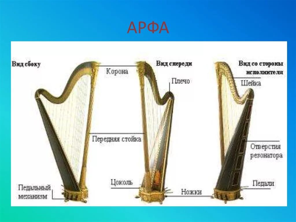 К какому инструменту относится арфа. Арфа. устройство арфы. строение арфы. арфа название частей.