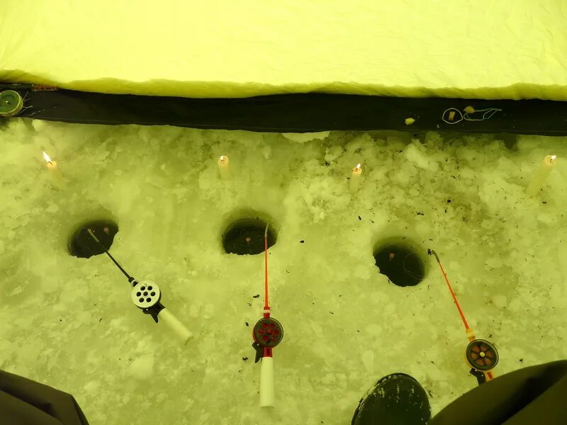 Тесто для плотвы зимой. Крючки для ловли плотвы зимой. Насадка для ловли плотвы зимой. Безмотылки болотникова. Снасти для зимней рыбалки на плотву в глухозимье.