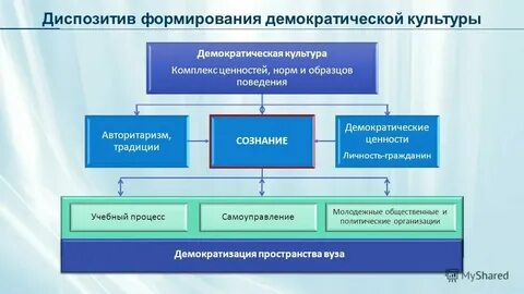 Создание демократических основ