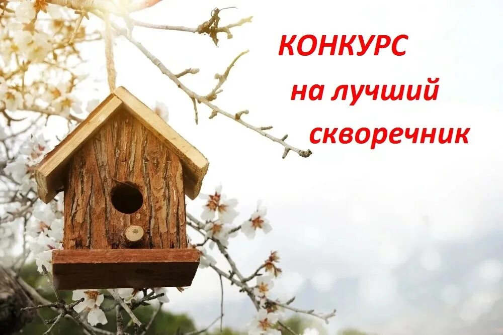 Скворечник синичник трясогузочник. Скворечник для скворцов. День скворечника. Скворечник для птиц. Скворечник для мухоловки.