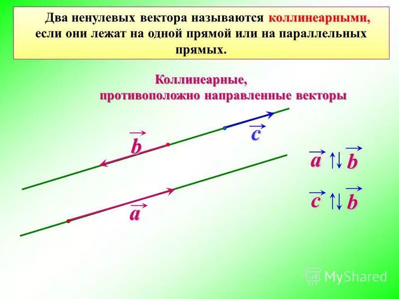 Какие изображения называют векторными