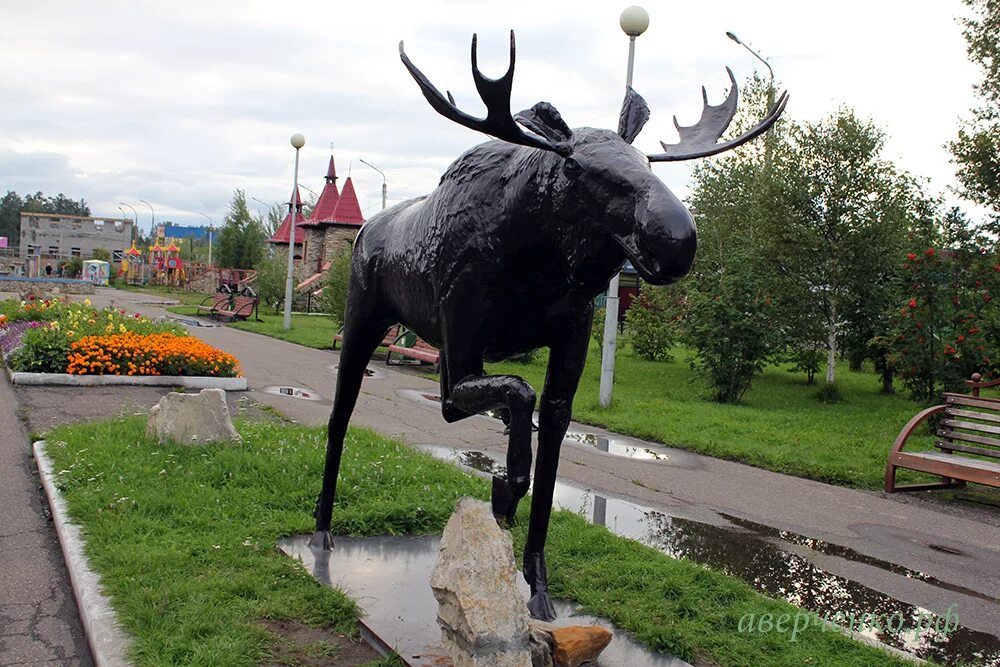 беловежская пуща лось. г лоси. тундровый лось. лось швеция. лось в кемеровской области памятник.