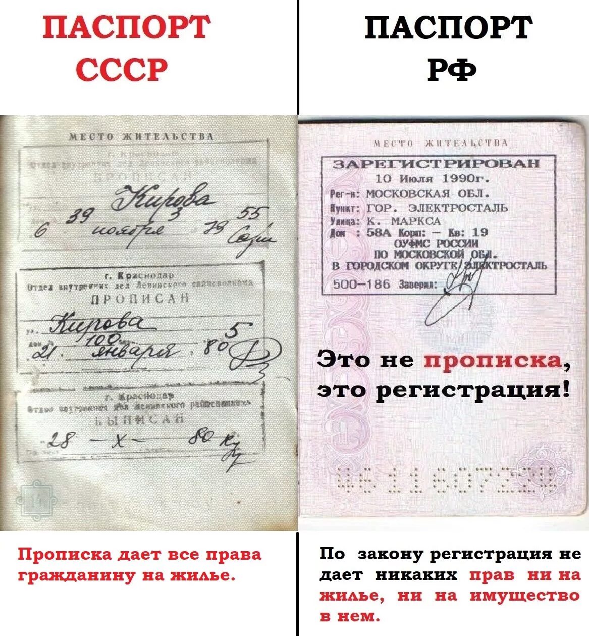 Где можно поставить отметку о гражданстве