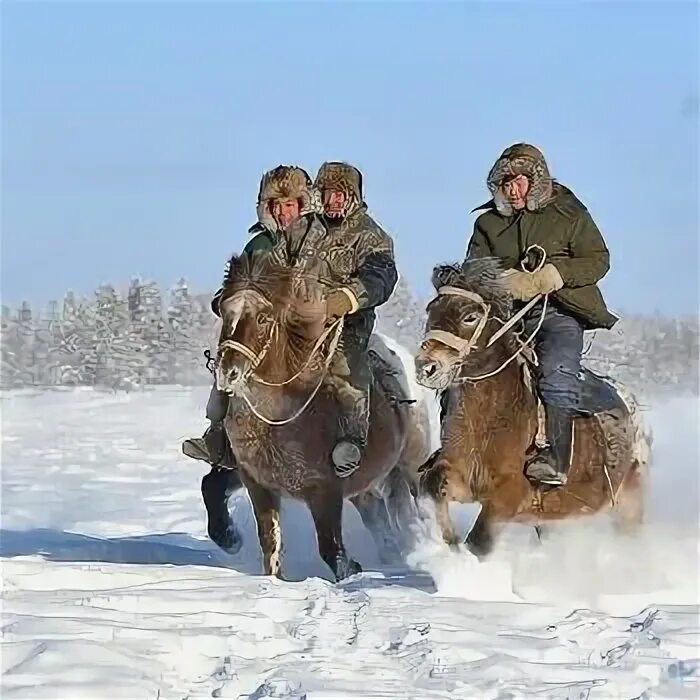 Основные занятия якутов. Традиционные занятия якутов. Якутская лошадь. Эвенки Якутии. Якуты кочевники.