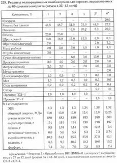 Сколько корма нужно свиньям