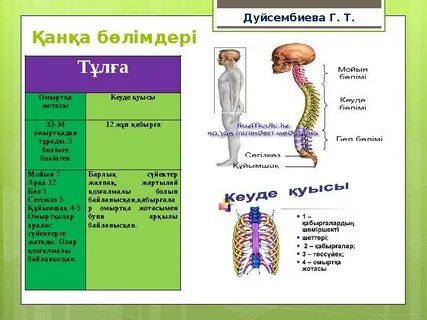 Ең жақсы минет үшін порно шоу
