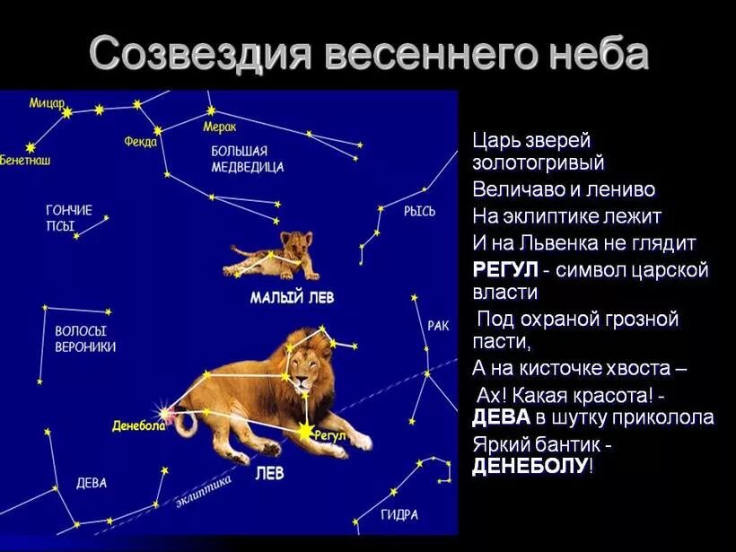 Рассказ о созвездии весеннего неба. Созвездия весеннего неба 2 класс. Рассказ о созвездии весеннего неба 2 класс окружающий мир Лев. Созвездие Льва. Презентация звездное небо весной