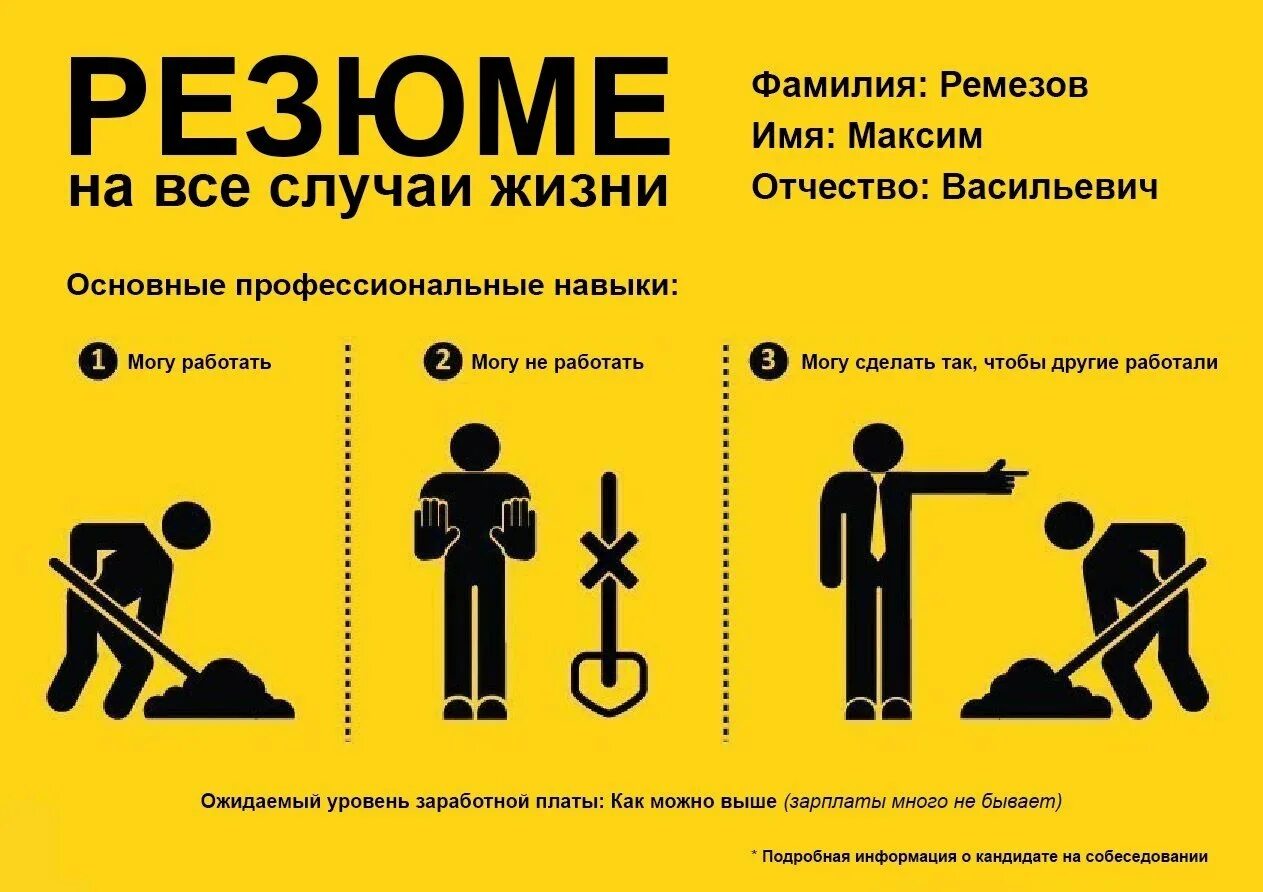 Ежедневник для достижения целей. План на все случаи жизни. Резюме могу копать могу не копать. Резюме прикол. План на все случаи жизни.