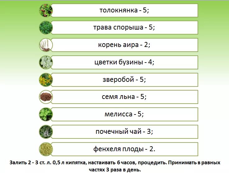 Фитотерапия при хроническом пиелонефрите. Лекарственные травы при хроническом пиелонефрите. Пиелонефрит фитопрепараты. Острый пиелонефрит фитотерапия.