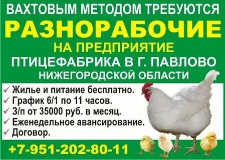 Вахта на птицефабрику