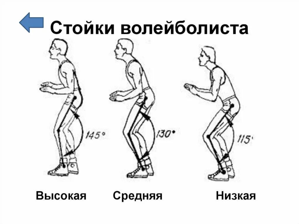 Перемещение стойки. Техника перемещений стоек в волейболе. Низкая стойка волейболиста. Перемещение стойки. Техника стойки и перемещения в волейболе.