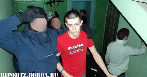Шавка шваль