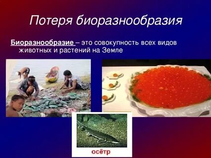 Утрата биоразнообразия