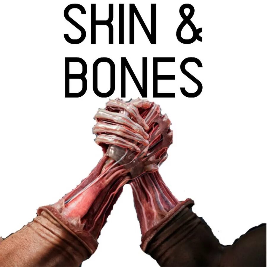 Skin and Bone. Скил анд бонс. Skin and bones david