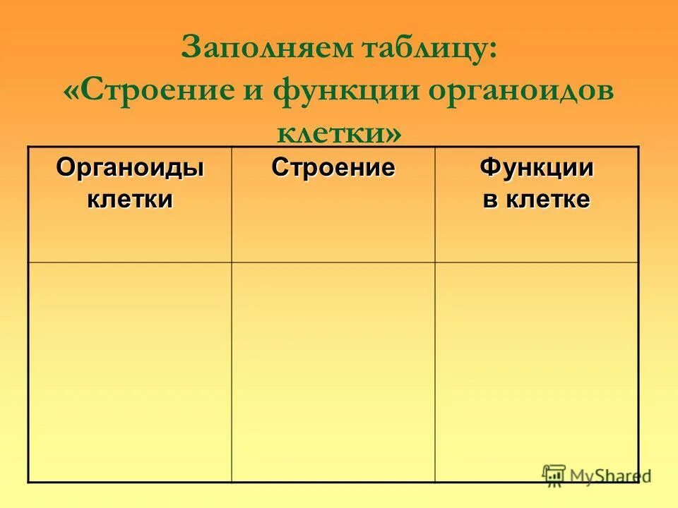 Системы органов плоских червей таблица. Строение клетки 5 класс биология таблица строение. Таблица строение клетки органоиды строение функции. Строение и функции органоидов растительной клетки таблица. Таблица строение и функции частей семени.
