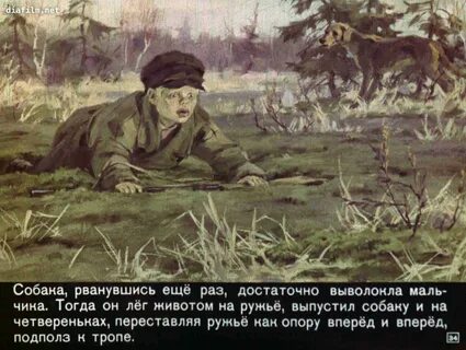 Солнце в сказке пришвина