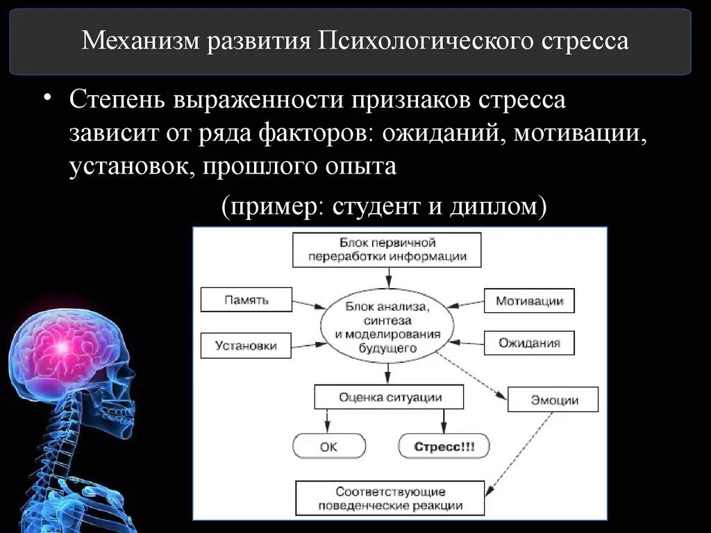 Первичный стресс