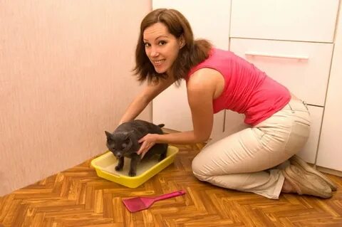 Снять кошку