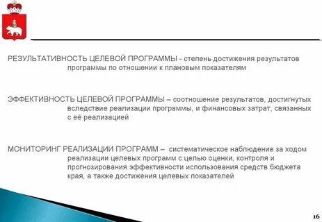 Понятие целевая программа