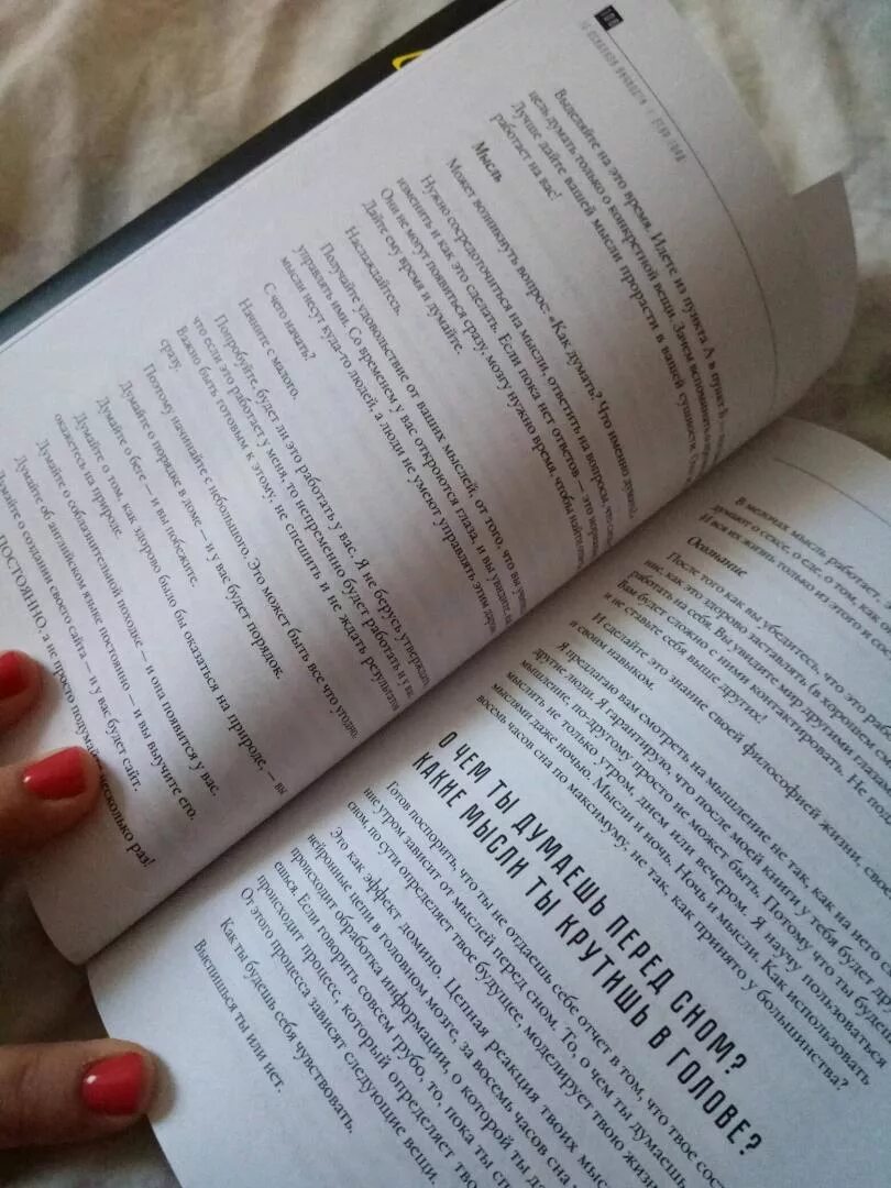 13 осколков читать. 13 осколков книга.