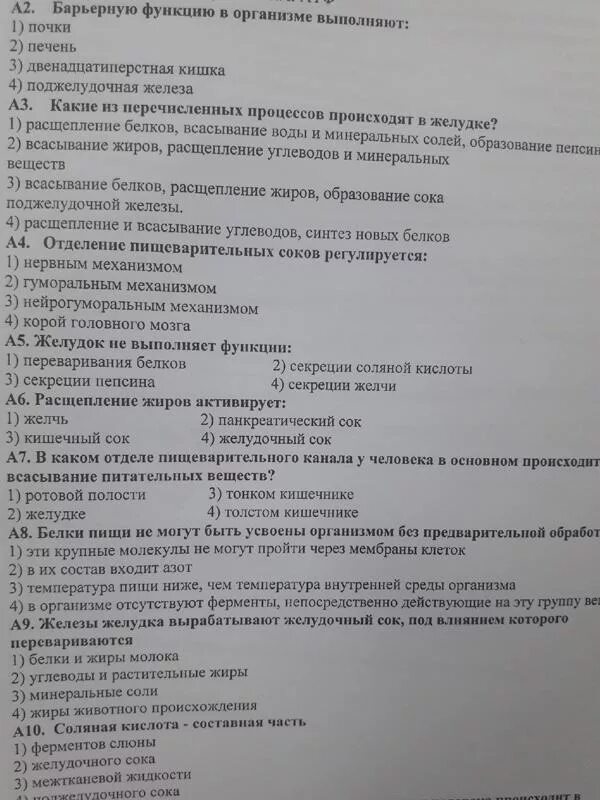 Желудок тест 8 класс. Пищеварение тест 8 класс биология. Тест 8 пищеварительная система 8 класс. Биология 8 класс тест пищеварительная система. Тест по биологии по пищеварительной системе 8 класс.