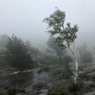 Сегодня загнался сильнее обычного
