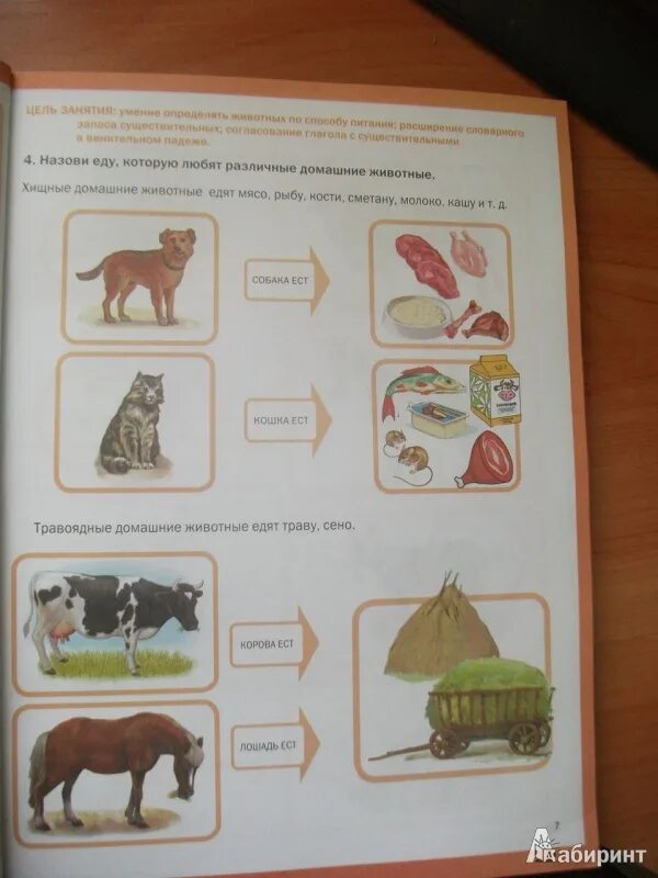 Развитие речи мир животных. Тематический словарь в картинках развитие речи. Развитие речи мир животных. Тематический словарь в картинках домашние животные. Тематический словарь по развитию речи животные.