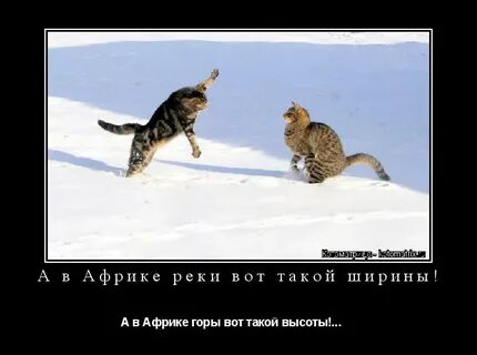 В африке реки вот такой ширины
